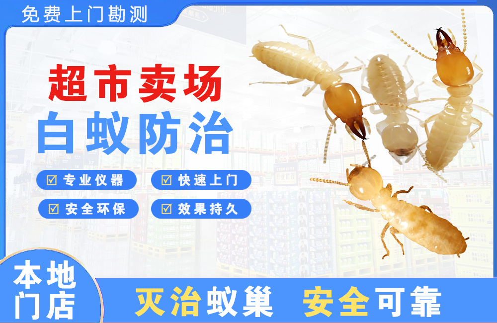 晋江超市卖场白蚁防治