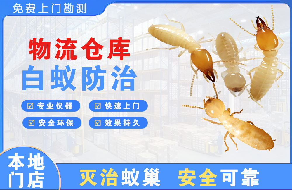 晋江物流仓库白蚁防治