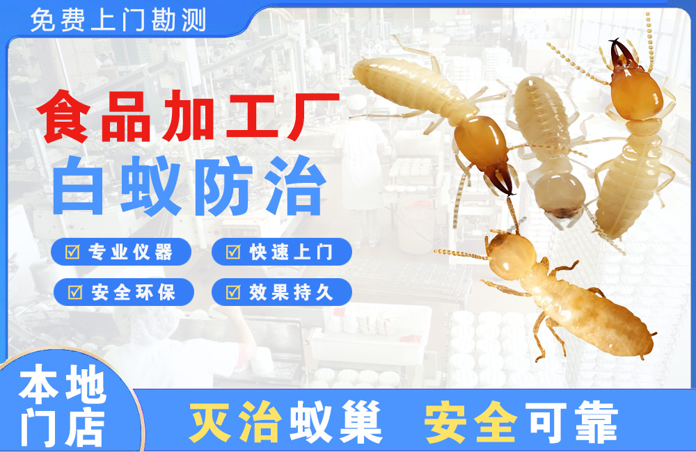 晋江食品加工厂白蚁防治