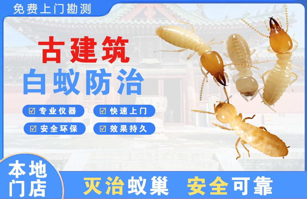 晋江古建筑白蚁防治