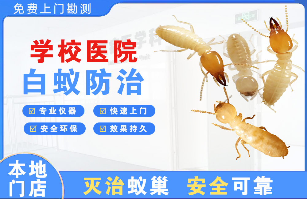 晋江学校医院白蚁防治