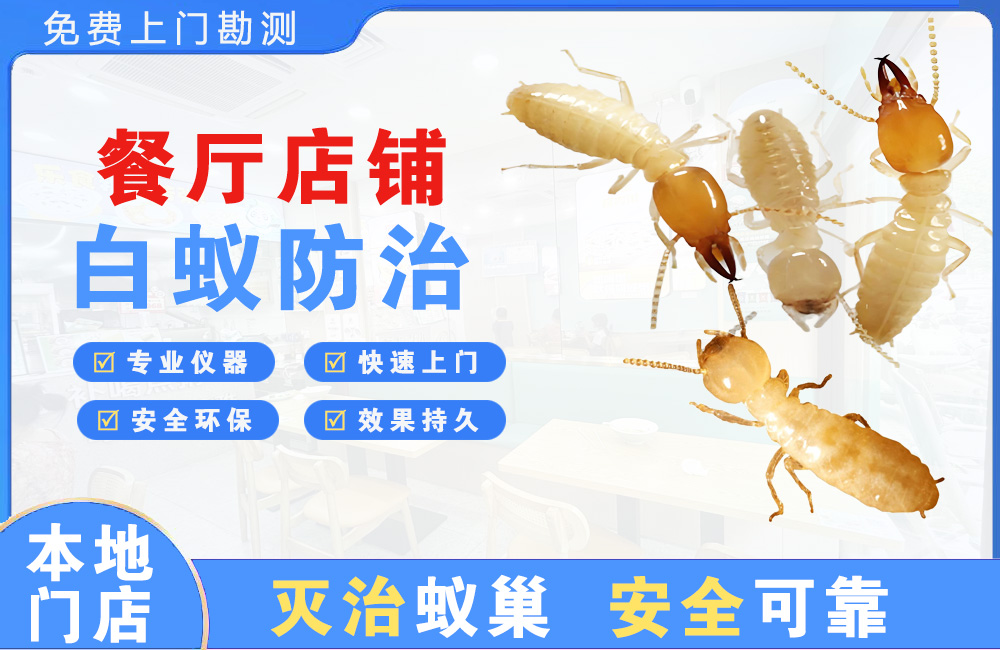 晋江餐厅店铺白蚁防治